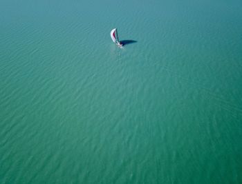 High angle view of bird swimming in sea