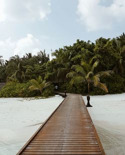 Boardwalk leading towards beach against sky