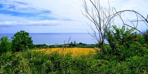 Scenic view of sea against sky