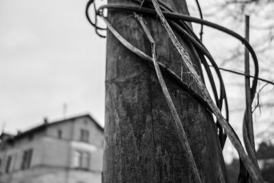 Low angle view of built structure against the sky