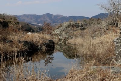 Scenic view of landscape against sky