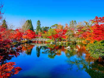 Trees by lake against blue sky during autumn