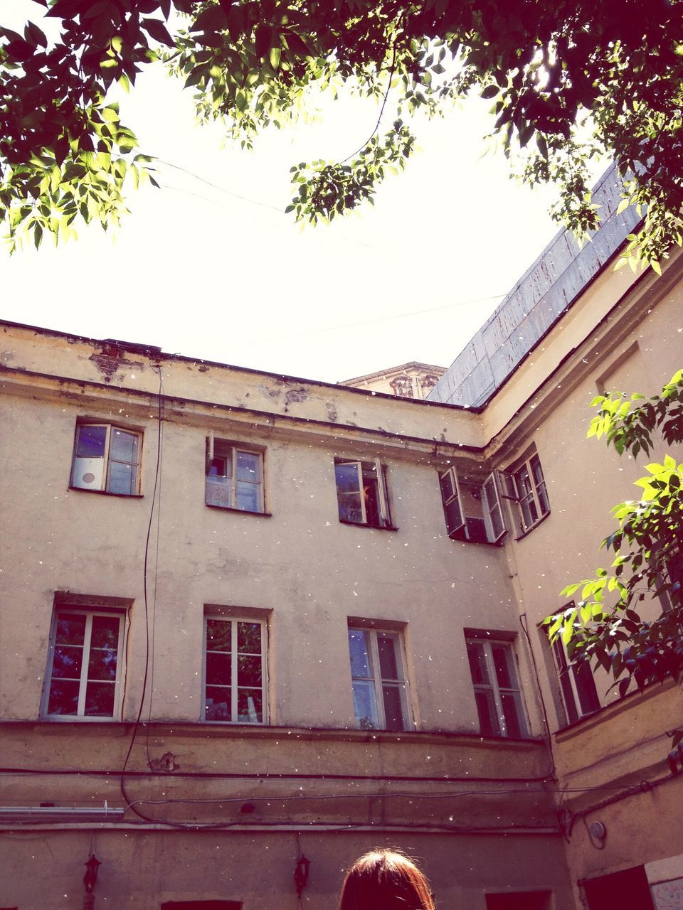 architecture, building exterior, built structure, low angle view, window, clear sky, tree, residential building, residential structure, building, balcony, house, sky, city, day, branch, outdoors, no people, sunlight, facade