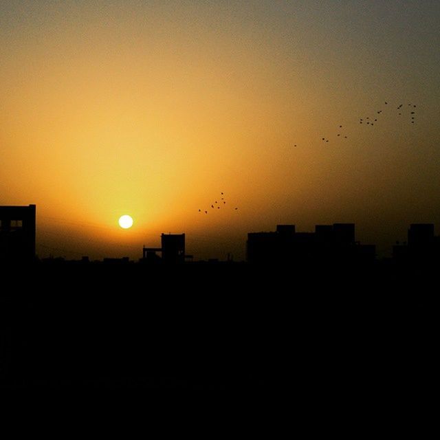 sunset, silhouette, bird, building exterior, orange color, sun, flying, built structure, architecture, animal themes, copy space, clear sky, animals in the wild, wildlife, scenics, beauty in nature, city, sky, nature, outdoors