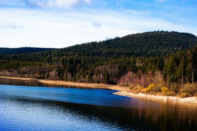 Scenic view of lake in forest against sky