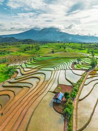 High angle view of agricultural field against sky