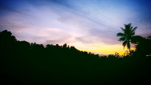 Silhouette of trees at sunset