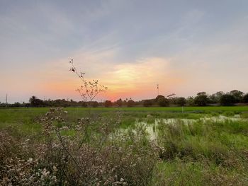 Scenic view of field against sky during sunset