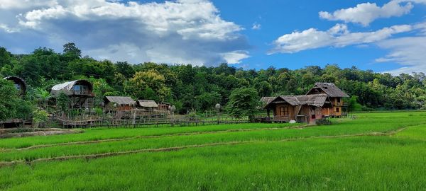 House on field against sky