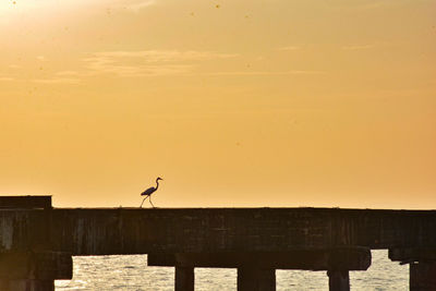Birds perching on pier against sky during sunset