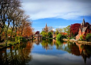 Reflection of trees in calm lake