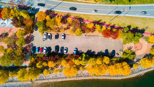 Aerial view of cars on road amidst trees