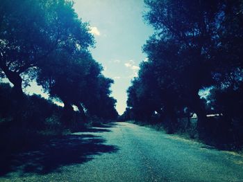 Road passing through trees