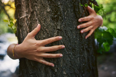 Hands touching a tree in the forest.