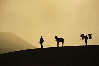 Silhouette man standing with horse on field against sky during sunset