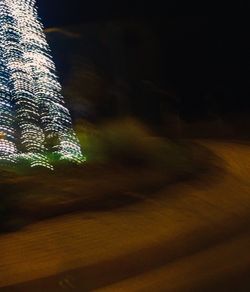 Close-up of illuminated tree