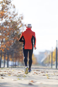 Rear view of man walking on street