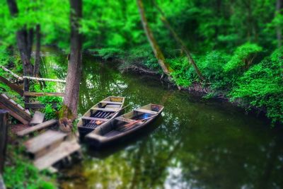 Boats moored on river amidst trees in forest