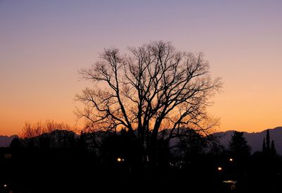 Silhouette trees against sky during sunset