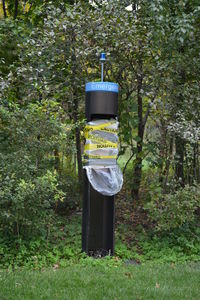 View of pole wrapped by plastic