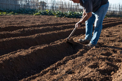 Man working at farm