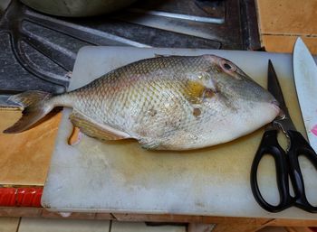 High angle view of fish on table
