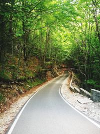 Empty road amidst trees in forest