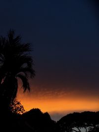 Low angle view of silhouette trees against sky at sunset