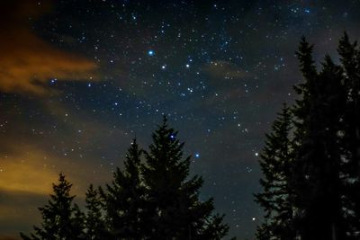 Low angle view of starry sky