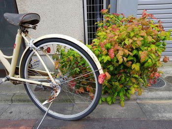 Bicycle parked on footpath by street