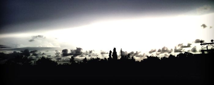 Silhouette trees on field against sky at sunset