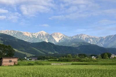 Scenic view of agricultural field by mountains against sky