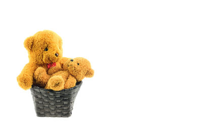 Close-up of stuffed toy against white background