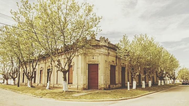 tree, architecture, built structure, building exterior, door, cloud - sky, sky, facade, entrance, footpath, outdoors, day, green color, lawn, history, no people