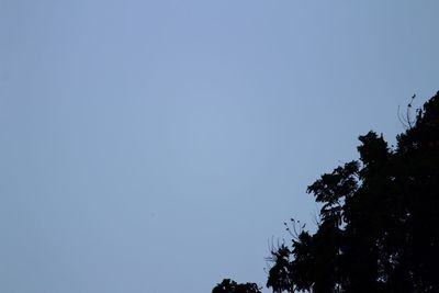 Low angle view of silhouette trees against clear blue sky
