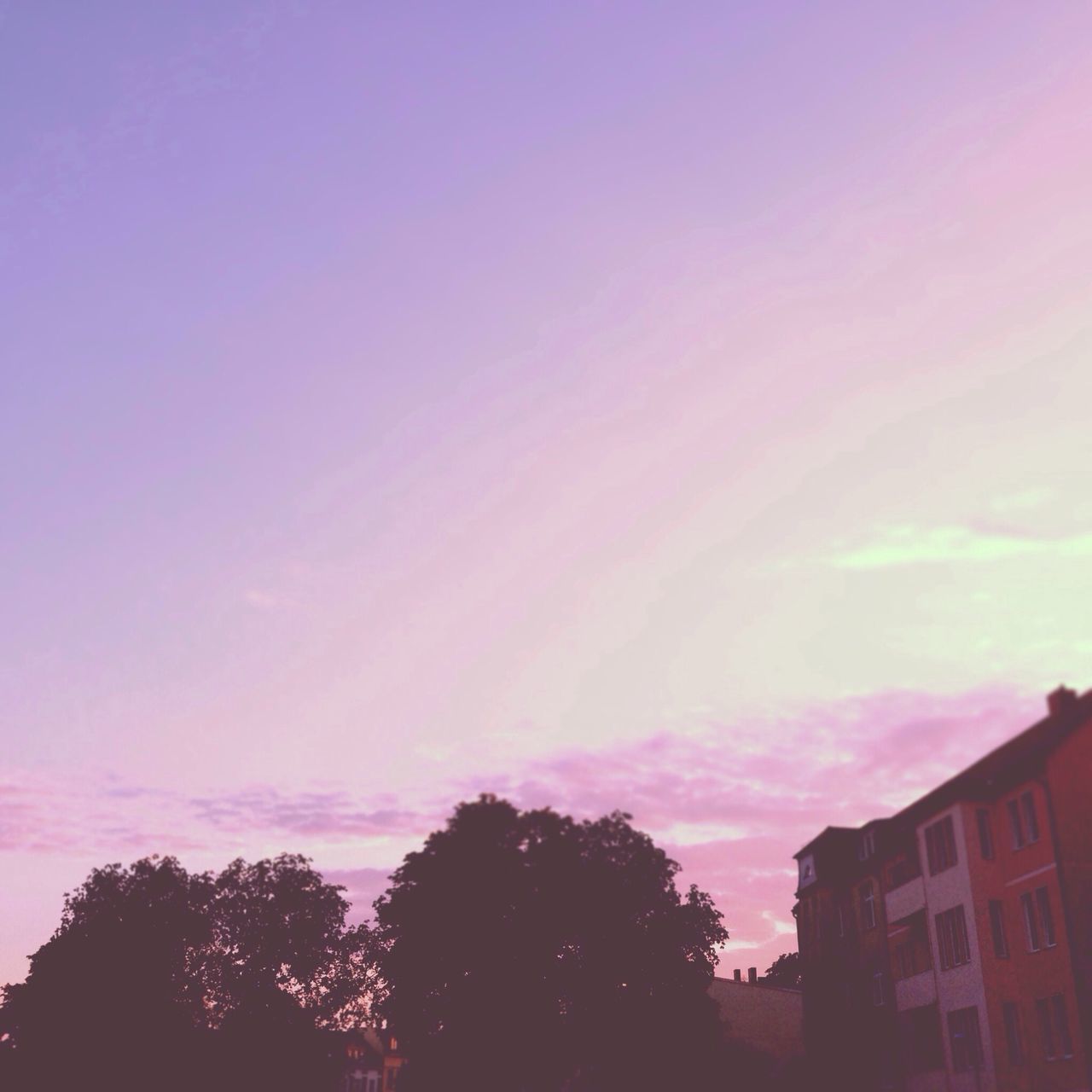 tree, silhouette, low angle view, sky, sunset, building exterior, built structure, architecture, beauty in nature, house, nature, cloud - sky, scenics, high section, tranquility, outdoors, no people, orange color, growth, dusk