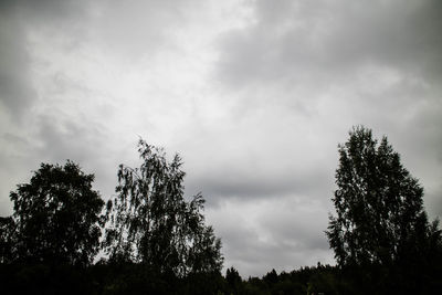Low angle view of trees against sky