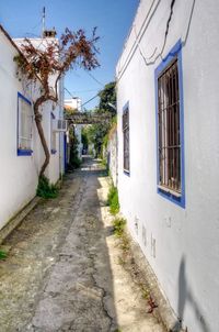 Footpath amidst buildings in city