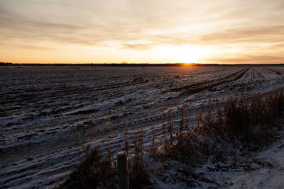 An agricultural field at the beginning of winter