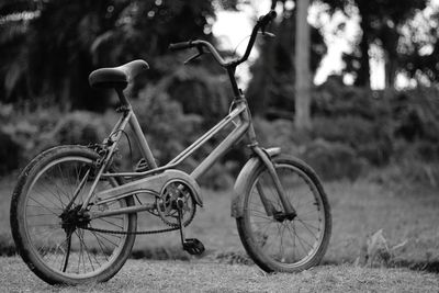 Bicycle on field