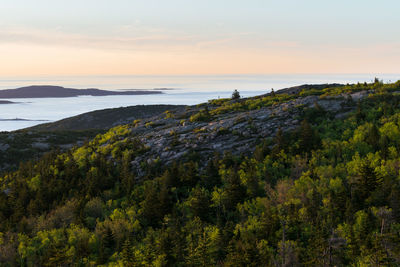 Cadillac mountain summit seen from the north ridge trail, acadia national park, maine, usa