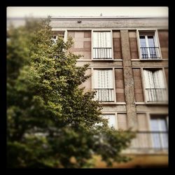 Building with trees in background