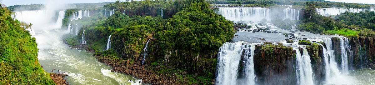 Scenic view of waterfall in forest