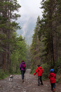 Rear view of people walking in forest