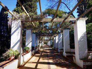 Footpath amidst trees and buildings against sky