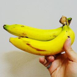 Close-up of hand holding apple