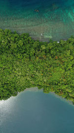 High angle view of leaf floating on water