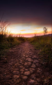 Footpath amidst field against sky during sunset