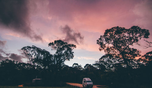 Trees against sky during sunset