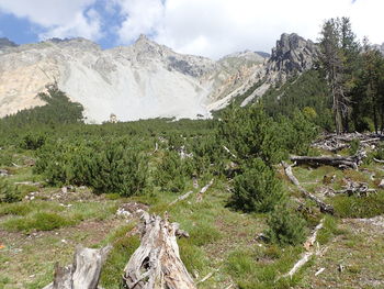 Scenic view of landscape and mountains against sky